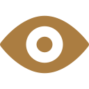 Vision